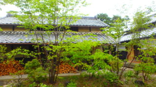 静岡県袋井市K様邸の植栽工事と造園外構工事の写真です。日本庭園の写真です。