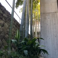 横須賀・葉山・逗子・鎌倉・湘南・川崎・横浜の庭づくりをしている彩葉苑がつくった横浜Ｉ様邸の植栽工事と造園外構工事の写真です。竹林の管理の写真です。