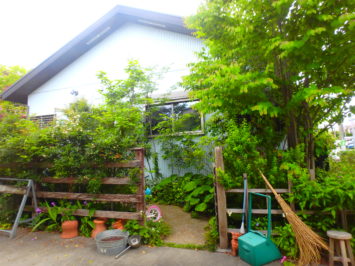横浜市Ｋ様邸、成長したのん気な雰囲気の雑木の庭