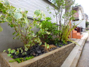 小さな花壇にオシャレな植栽、石のマルチでローメンテナンスなお庭を造りました。