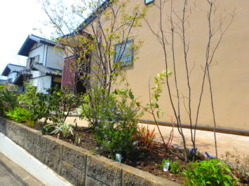 横須賀市にあるいろは苑が横浜市都筑区で作ったファミリーガーデンでピンコロのテラスや食べられる植栽が多くある庭。
