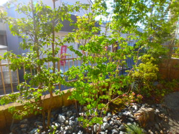 横須賀の造園屋のいろは苑が横浜市保土ヶ谷区で作った早期のあるアプローチと、シンプルモダンなバードバスのある主庭にリガーデン。